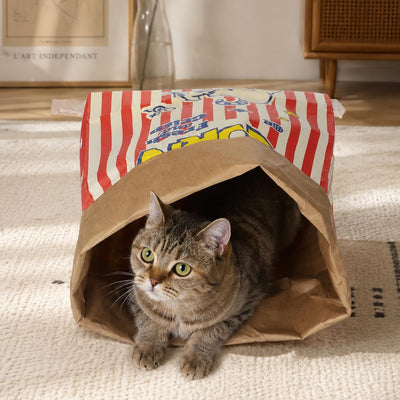 The Popcorn Crinkle Bag