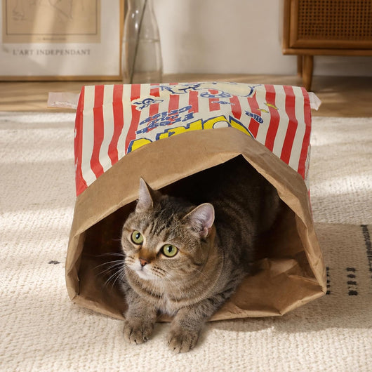 The Popcorn Crinkle Bag
